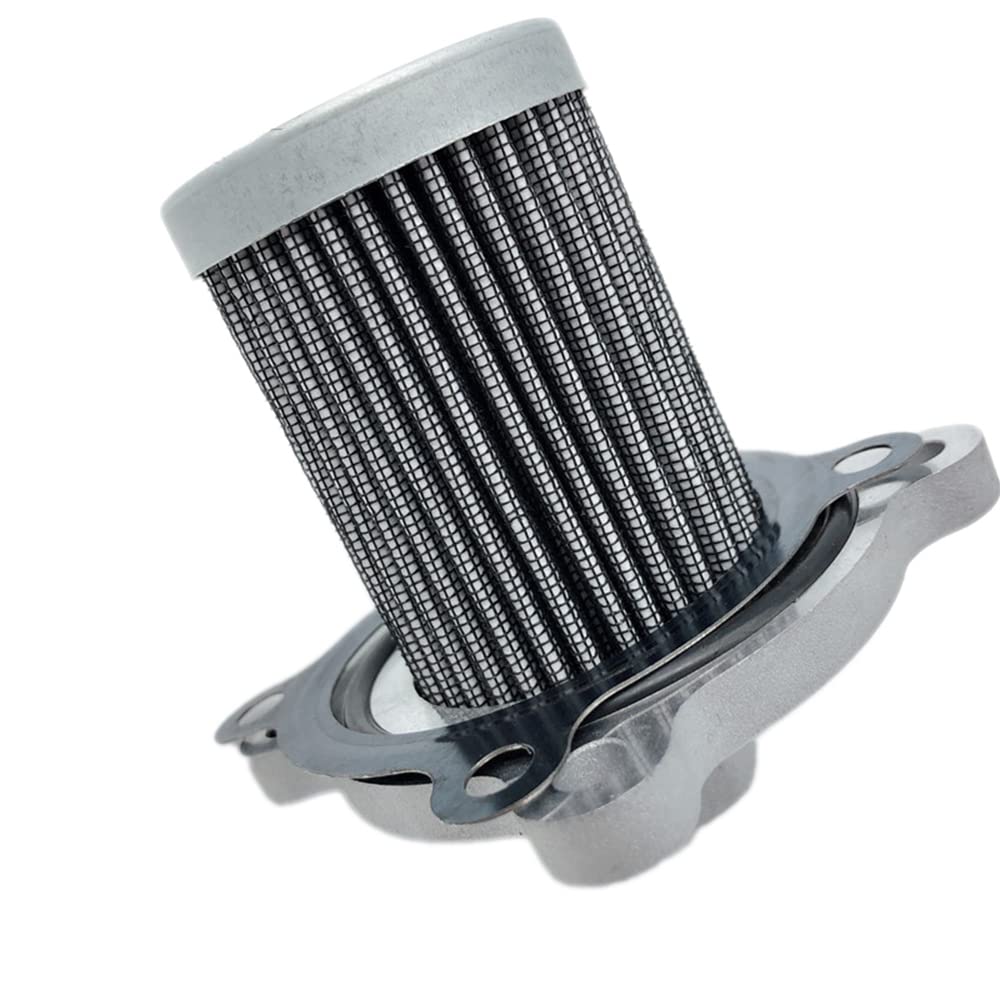 Huudngeje Autofilter 330953KAA0 Erdgas LPG Fule Filter für Azera 1998-2010 Opirus 2004-2011 33095-3KAA0 von Huudngeje