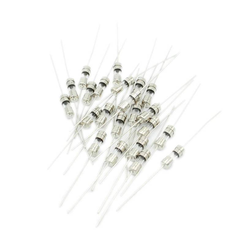 10PCS 3.6 * 10 mm 250V Glas-Schnellschluss-Sicherung mit einem Stift,F1A von IBYZSO