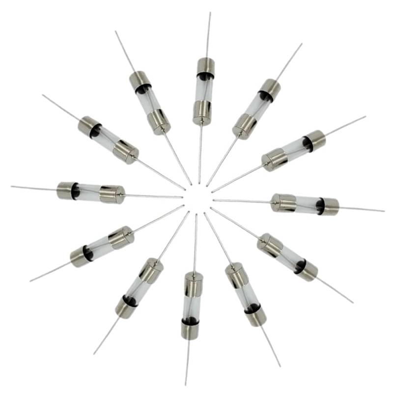 10PCS 5**20mm 250V Glas-Sicherungsröhre mit langsamer Auslösung und einem Pin,T10A von IBYZSO