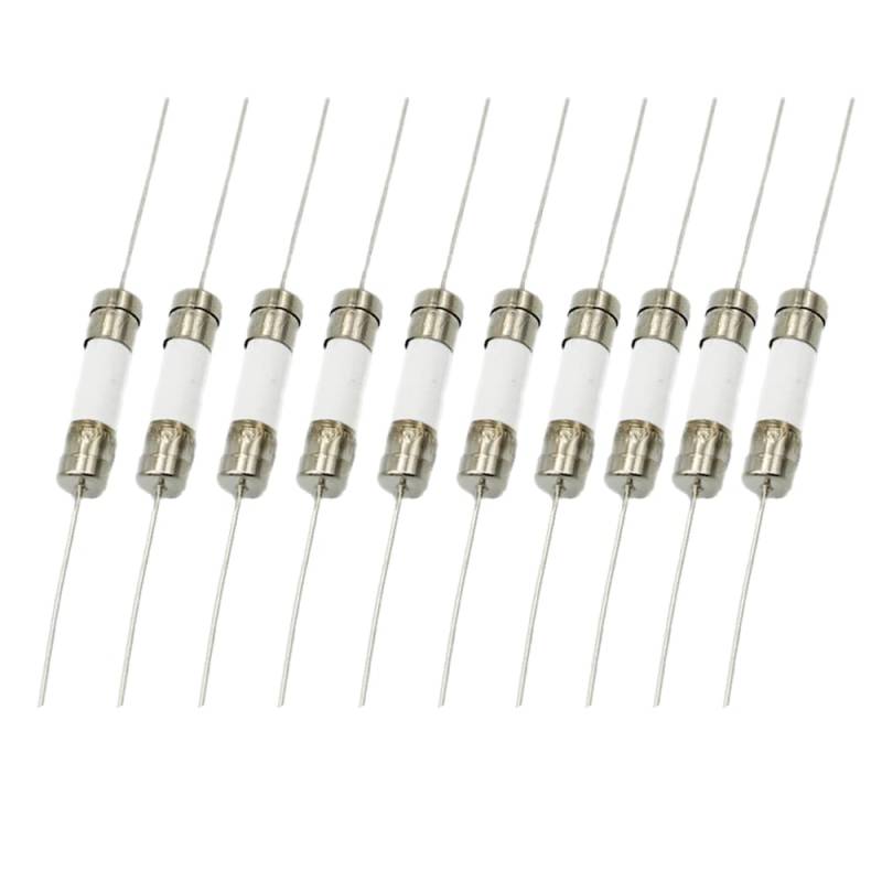 10PCS 5 * 20mm 250V Schnellauslösendes Keramiksicherungslampe Langsamblasendes Röhrensicherung Mit einem Stift,25A von IBYZSO