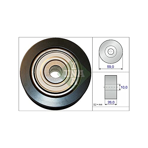 532073710 Ina ABDS Umlenkrolle OE Qualität von INA