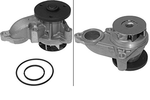 INA 538 0666 10 Kühlmittel des Motor von INA