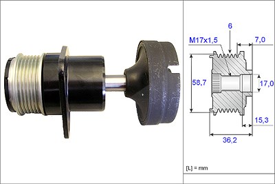 Schaeffler Ina Generatorfreilauf [Hersteller-Nr. 535015710] für Ford von Schaeffler INA