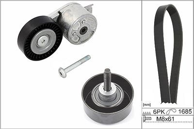 Schaeffler Ina Keilrippenriemensatz [Hersteller-Nr. 529021810] für Ford von Schaeffler INA