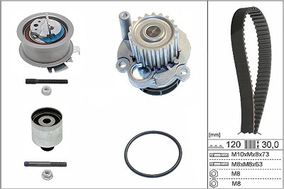 Schaeffler Ina Wasserpumpe + Zahnriemensatz [Hersteller-Nr. 530020132] für VW, Audi, Seat, Ford, Skoda von Schaeffler INA