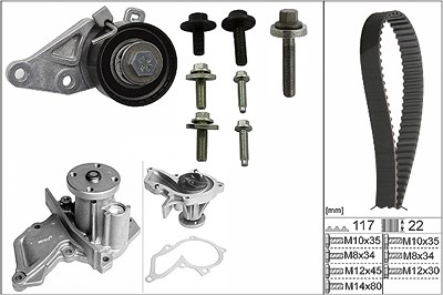 Schaeffler Ina Wasserpumpe + Zahnriemensatz [Hersteller-Nr. 530014030] für Mazda, Ford, Volvo von Schaeffler INA