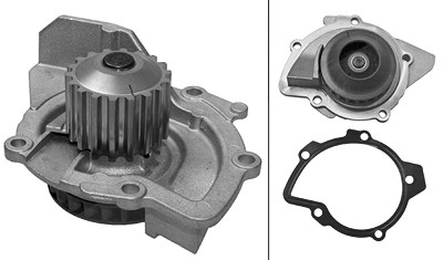 Schaeffler Ina Wasserpumpe [Hersteller-Nr. 538010210] für Citroën, Ds, Fiat, Ford, Peugeot, Toyota von Schaeffler INA