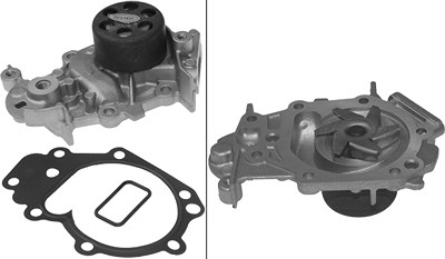 Schaeffler Ina Wasserpumpe [Hersteller-Nr. 538038110] für Renault von Schaeffler INA