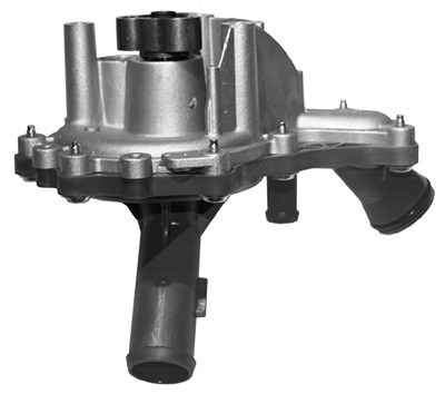 Schaeffler Ina Wasserpumpe [Hersteller-Nr. 538046510] für Citroën, Fiat, Ford, Peugeot von Schaeffler INA