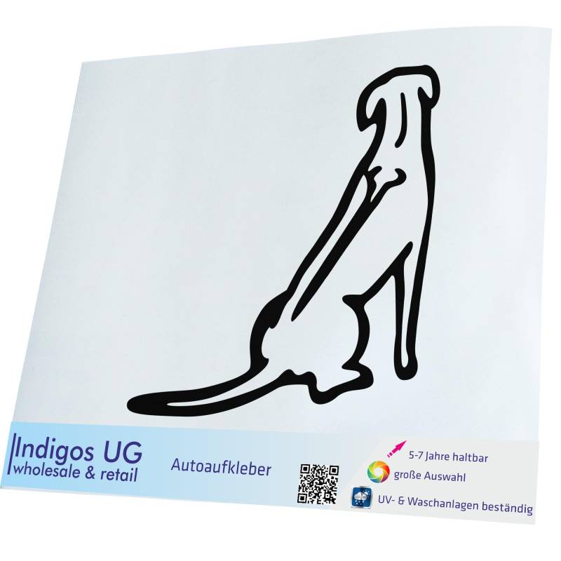 INDIGOS UG Aufkleber - Autoaufkleber - JDM - Die cut - Rhodesian Ridgeback - schwarz - 150x169 - Tuning - Sticker - Heckscheibe - Auto - Fahrrad - Motorrad von INDIGOS UG