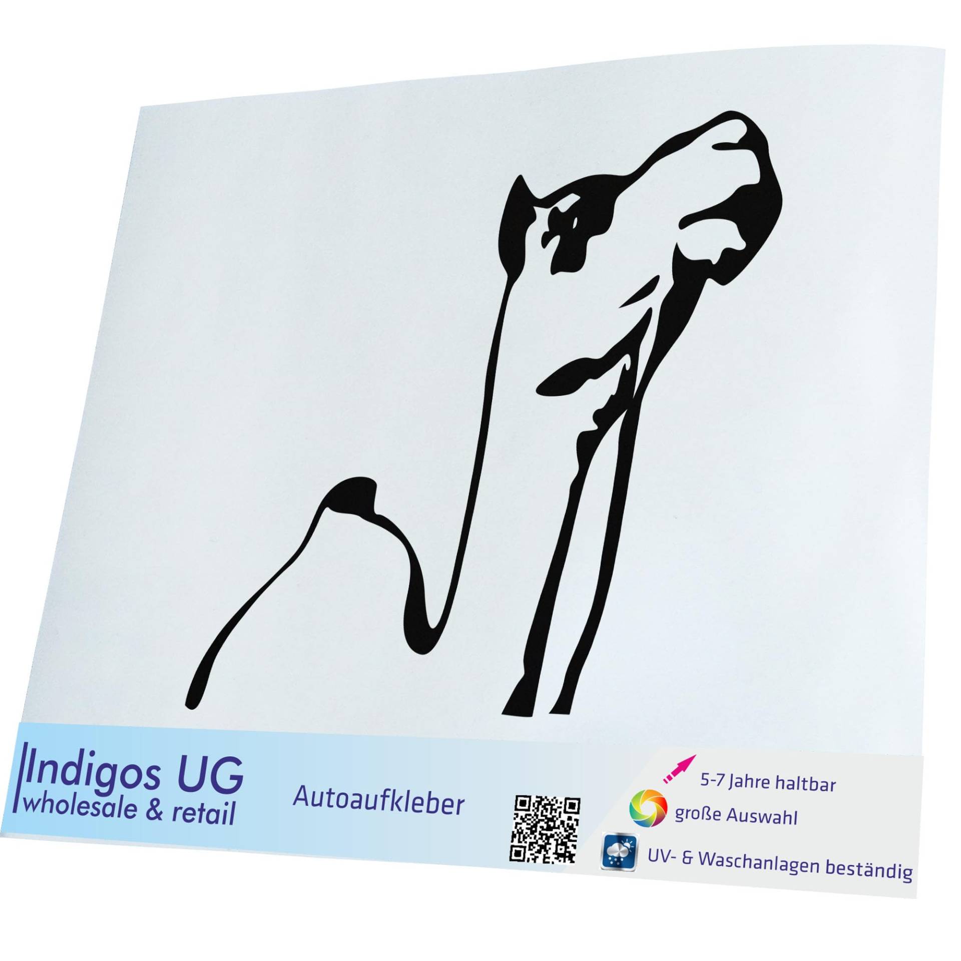 INDIGOS UG Aufkleber - Autoaufkleber - JDM - Die Cut - Auto - 400x400 mm - Camel - schwarz - Heckscheibe - Heckscheibenaufkleber - Sticker - Tuning von INDIGOS UG