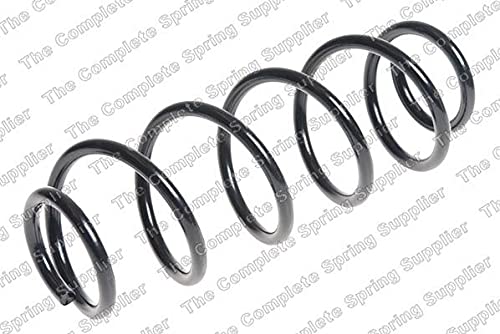 65093 Kilen Coil Spring (hinten) OE Qualität von INTERMOTOR