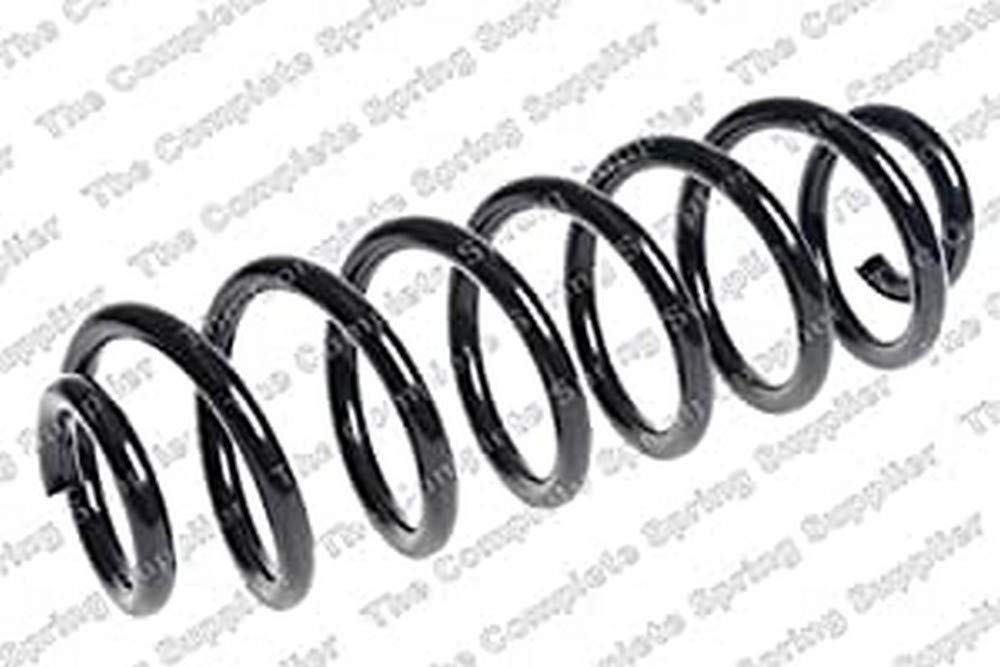 65098 Kilen Coil Spring (hinten) OE Qualität von INTERMOTOR