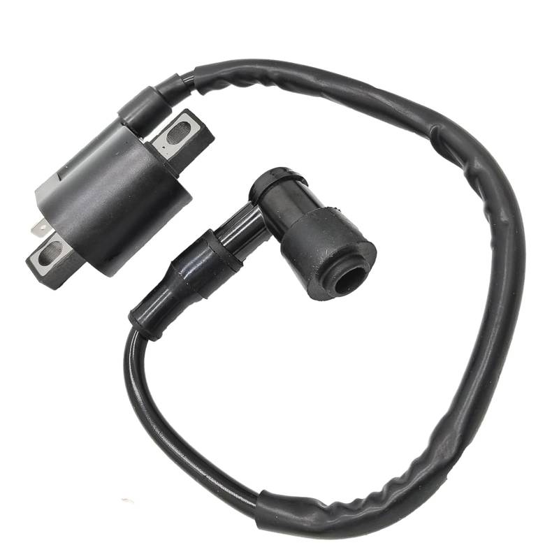 IUSOT Motor Zündspule, Motorrad-Zündspule, ATV Zündspule Ersatz, Modified Ignition Coil, Scooter Zündspule, Motorräder DC Ignition Ersatz Zündspule Für CG125 150 200 250CC ATV Scooter Moped Go-Kart von IUSOT