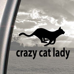 Ritrama Autoaufkleber, für Stoßstange oder Fenster, für LKW/PKW, Motiv: Crazy Cat Lady/Verrückte Katzenlady, Schwarz von IUSOT