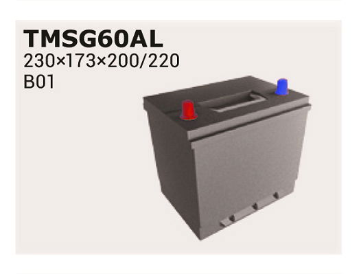 Starterbatterie Ipsa TMSG60AL von Ipsa