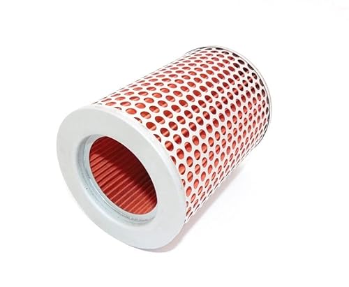 Luftfilter Air filter 17213-KCK-900 für DAELIM VS125,VS 125 Evo,VT 125 Evolution von ItalyRacing