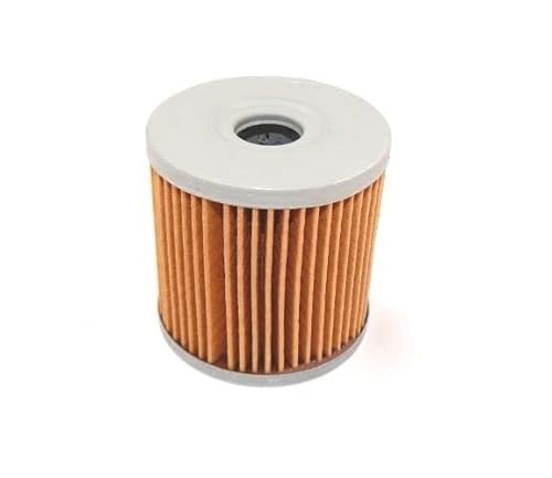 Ölfilter für Aprilia Italjet PIAGGIO/VESPA IT Oil filter 410229 HF181 10 060 903 von ItalyRacing