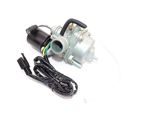 VERGASER 19 mmCarburetor 19 mm von ItalyRacing