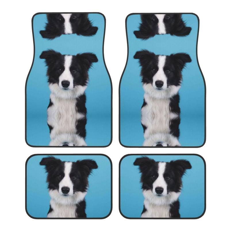 Border Collie Print Auto Teppichmatten-Set Premium Qualität Teppich Fahrzeug Fußmatten für Autos Autozubehör von JEJEA