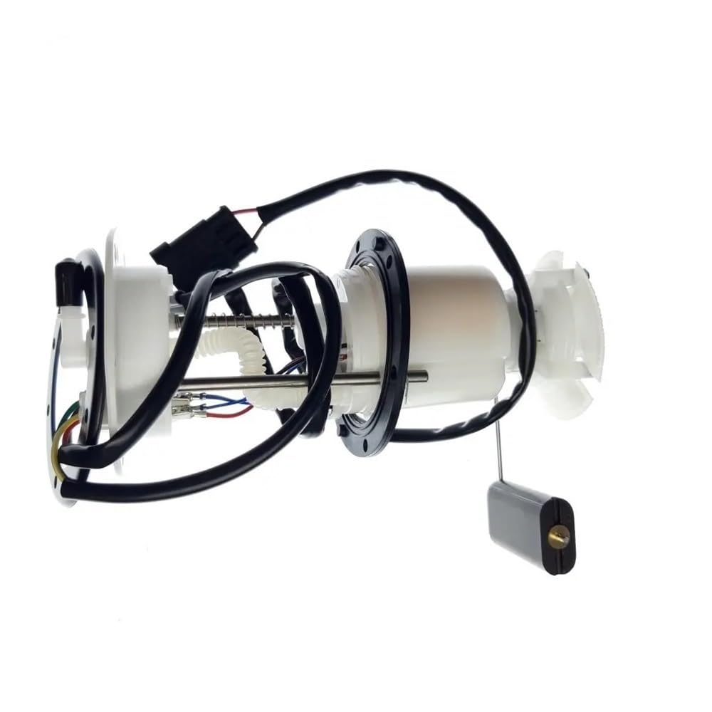 Kompatibel mit LINHAI 300 ATV UTV 27833 27845 Kraftstoffpumpe von JGHFReW