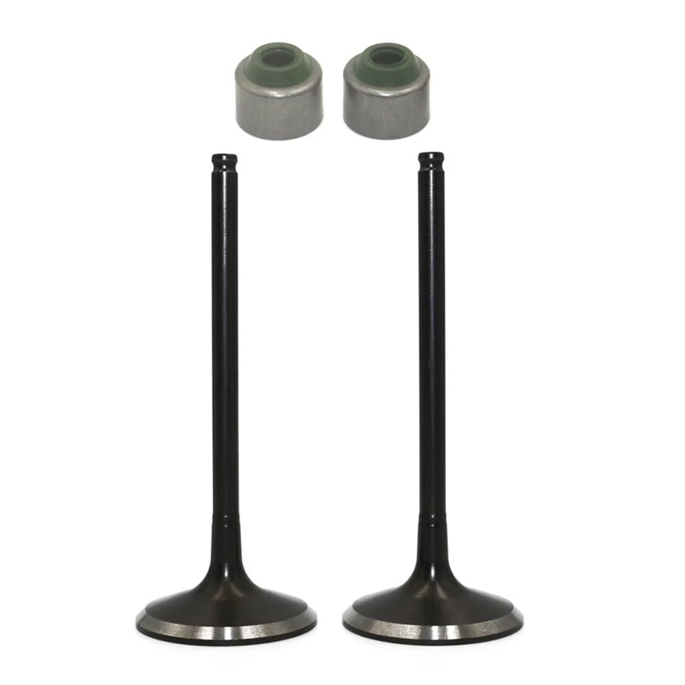 Kompletter Einlass- und Auslassventilschaftdichtungssatz Kompatibel mit KX250F KX 250F 2004 2005 2006 2007 2008, kompatible Motorrad-Motorteile(2PCS INTAKE VALVE) von JGHFReW