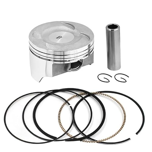 Motorrad-Montageteil STD 78 mm Kolbenringsatz kompatibel mit KLX300 1997–2006 KLX 300 und ähnlichen Modellen(PISTON RINGS KIT) von JGHFReW