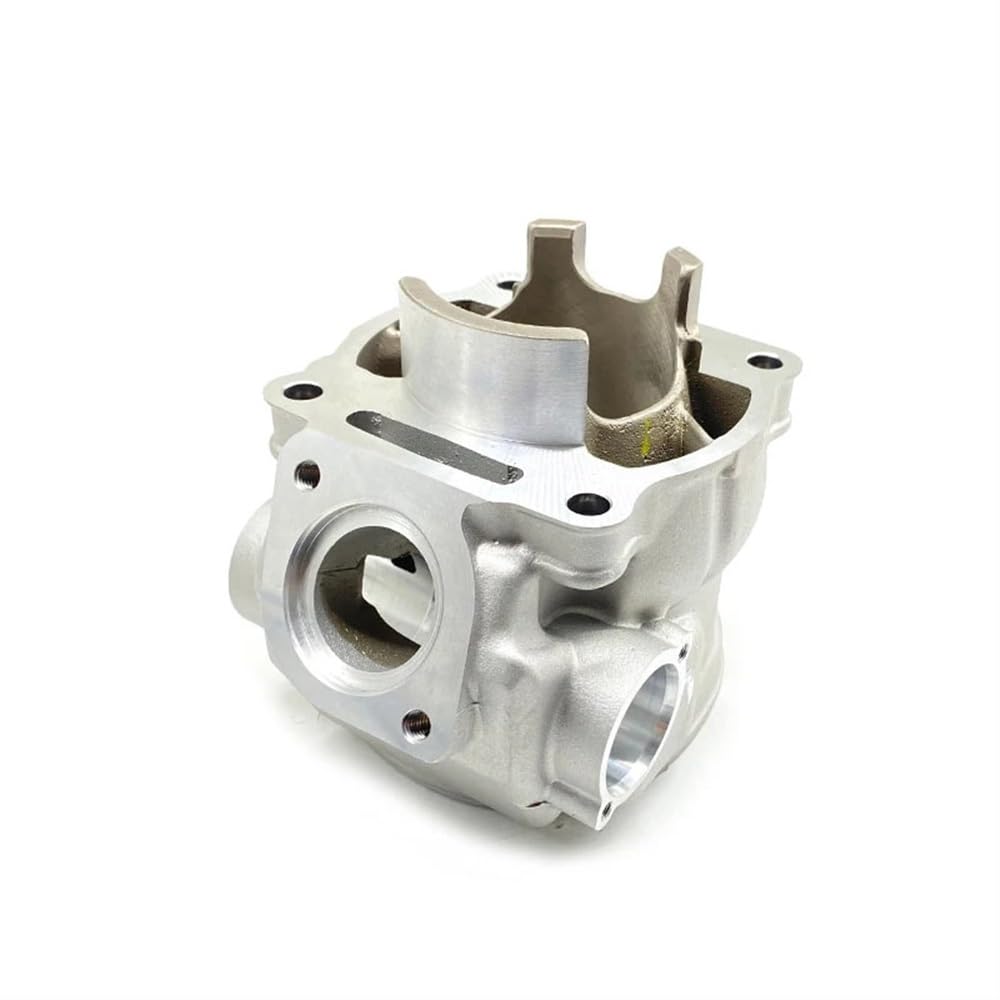 Motorrad-Motorzylinder-Kit kompatibel mit DT230 MT250 TSE250 HJ250H 66,8 mm Kolbenringteile 2T Dichtungsersatz 4TP-11181(CYLINDER BLOCK) von JGHFReW