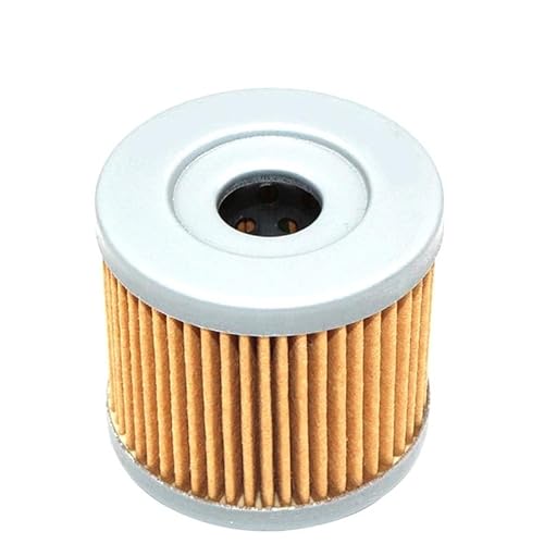 Ölfilter kompatibel mit GT250 GT 250 2003 bis 2014 GT250R GT 250R 2005 bis 2014 GV125 GV 125 2000 bis 2010 GV250 GV 250 2001 bis 2014 und ähnlichen Modellen(1PC) von JGHFReW