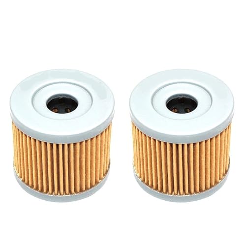 Ölfilter kompatibel mit GT250 GT 250 2003 bis 2014 GT250R GT 250R 2005 bis 2014 GV125 GV 125 2000 bis 2010 GV250 GV 250 2001 bis 2014 und ähnlichen Modellen(2PCS) von JGHFReW