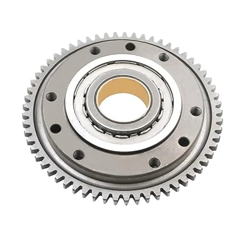 One Way Bearing Starter Clutch Assembly Parts Kompatibel mit kompatible F650GS 2001 bis 2011 F650CS G650X 650 2001 bis 2004 Motorräder von JGHFReW