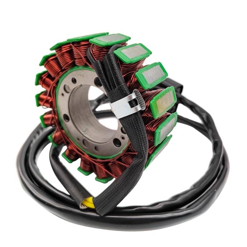 Stator Starter Generator Magneto kompatibel mit Side By Side Liangzi LZ 800 UTV 800V RM PM 21040109701 3701010010000 von JGHFReW