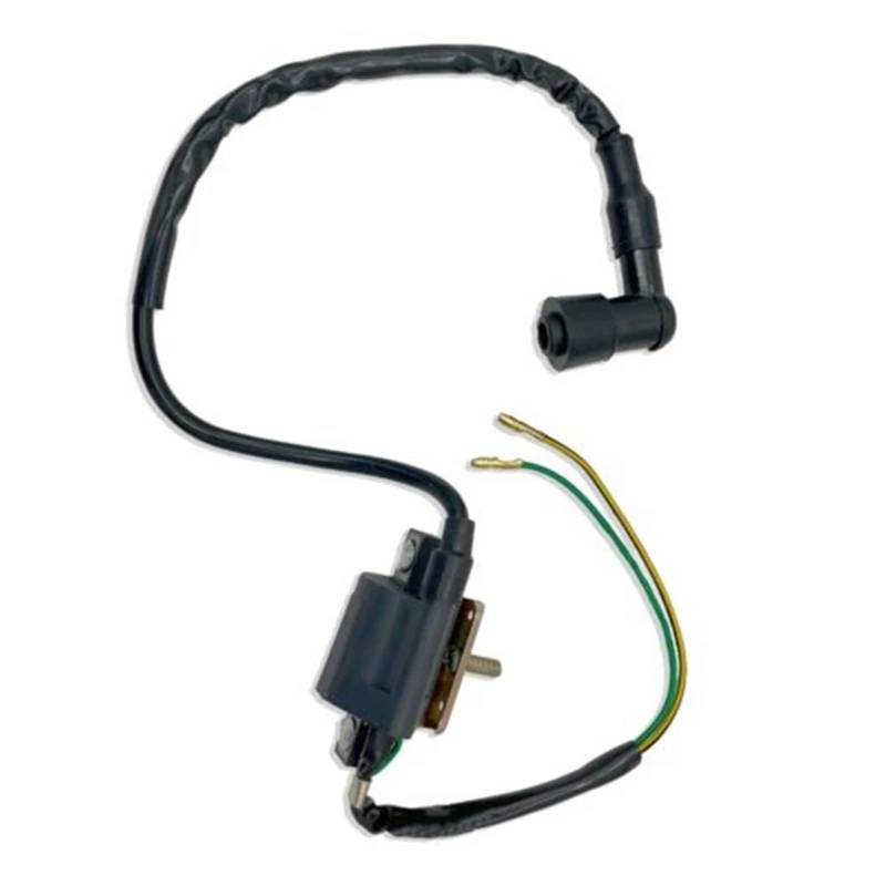 Zündspulen Für Jackel Für Wildfire Für GOKART ATV ​​50CC 70CC 90 110 125CC Motorrad Zubehör 1Pcs CDI Box ZÜNDSPULE Zündstator von JHMHCOQ