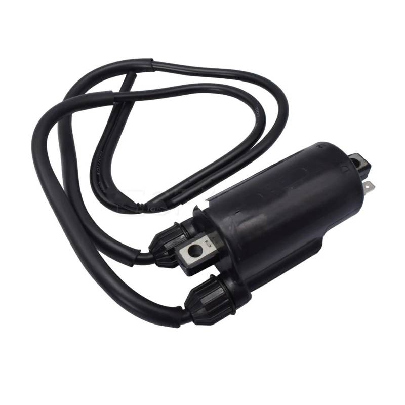 Zündspulen Für Motorrad Zündspule 12V Externe 30504-300-004 30510-333-013 30510-KT7-003 30510-KT7-013 30510-KT7-023 Zündstator von JHMHCOQ