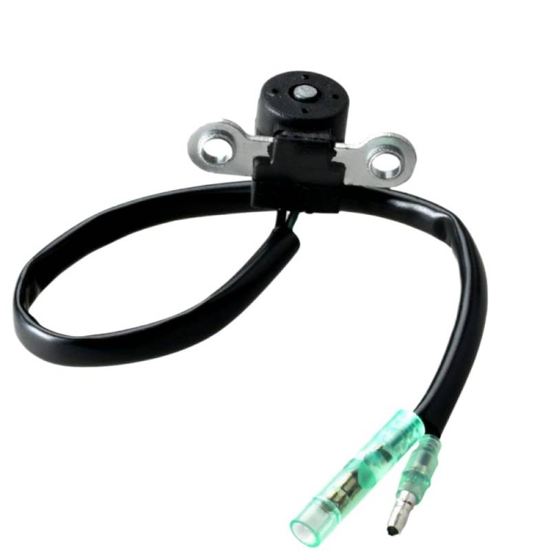 Kompatible Pulserspule 6B4-85580 Kompatibel mit 2 Takt 9,9 PS 15 PS Außenbordmotor 5d 6b4a 9,9d 6b3a T15d Motorzubehör Teile von JHTRHZ