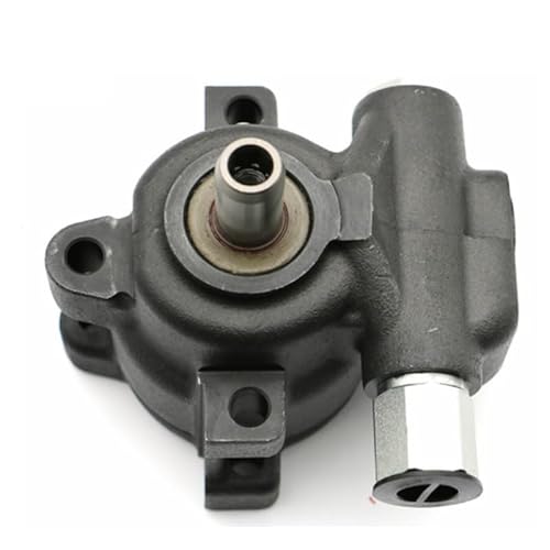 Kompatible Servolenkungspumpe für 2002–2007 Ram 1500 3,7 l 3,9 l 4,7 l 5,7 l 5,9 l Modelle 5073240AA 20–269 von JHTRHZ