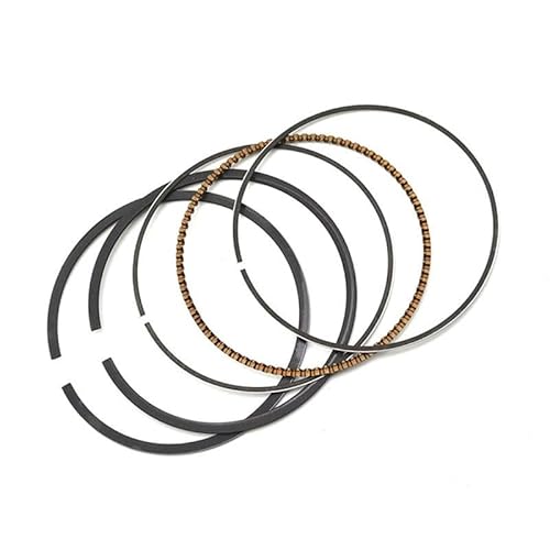 Motorrad-Kolbenringe-Set, kompatibel mit AN250 250 Skywave 250 88 bis 06 DR250 Djebel 90 bis 95, Größen 73 bis 74,5 mm(Rings 73.25MM) von JHTRHZ