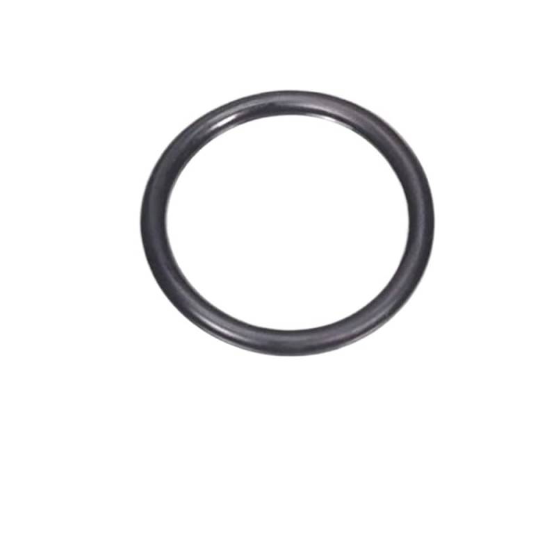 O-Ring-Dichtung for Wasserpumpe 25421-21010 Kompatibel mit Santa Fe Sonata Sorento 2.0L 2.4L von JHTRHZ