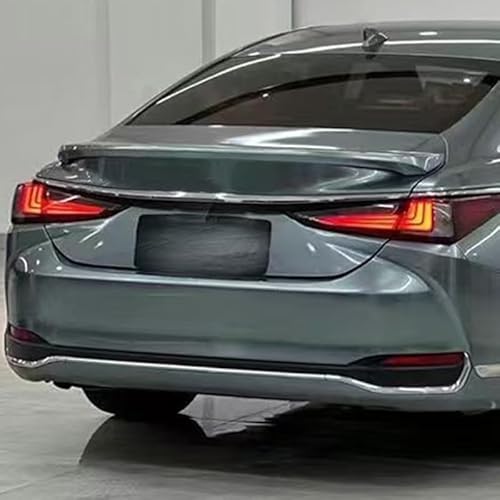 Auto Flügel für Lexus ES,Flügel Lippe Schwanz Spoiler Auto Spoiler Wing Dachspoiler Heckflügel Kunststoff Windwiderstand Auto Dekoration Zubehör,Grey von JIAAM