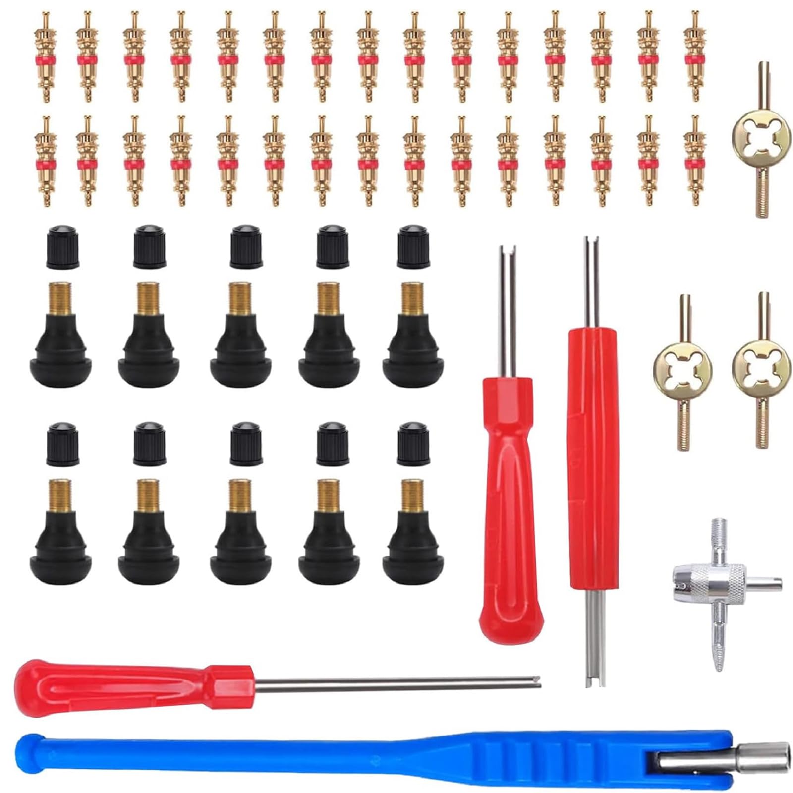 JIAAXYC Reifenventilentferner, Ventilkerne, Ventilkernschlüssel, mit TR412 Snap-in Gummi Reifen Ventile, Doppel & Einzelkopf Ventil Entferner, für Auto, Motorrad, 47 Stücke von JIAAXYC