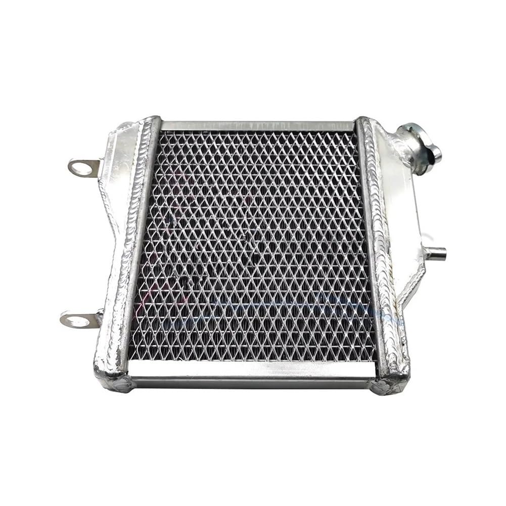 Kühlerschutz Schutzgitter Motorradteile 87–97 Für TZR125 Kühlergrill Kühlung Kühlmittel Wassertank Für YA&MAHA Für TZR 125 1987–1997 Kühlergrill von JKYWOL