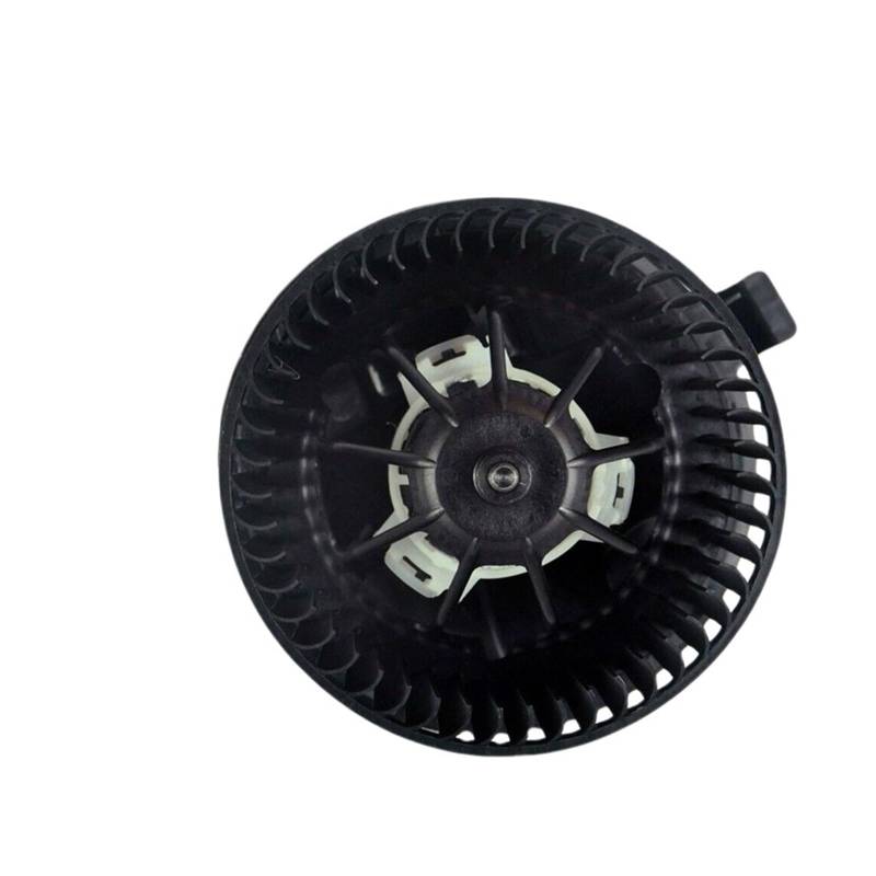 Kompatibel for RENAULT MEGANE MK2 HEIZUNG GEBLÄSE MOTOR FAN MIT AIR CON AC 02-AUF 7701056965 von JLPOCRBJ