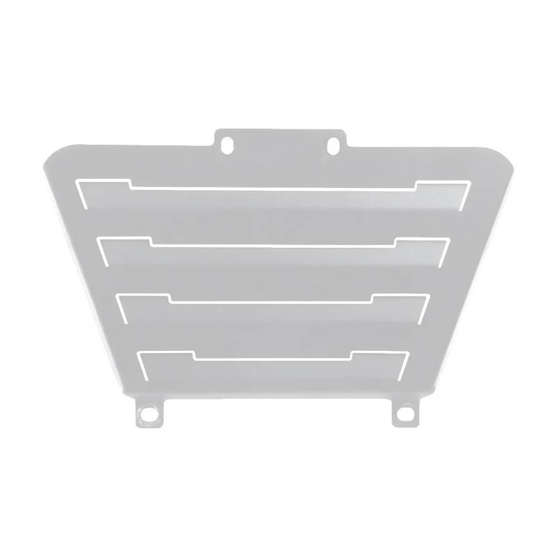 Motorräder Schutzabdeckung Für VOGE 300 Für Rally 300 GY 300GY Für Rally300 Zubehör Front Schild Wassertank Schutznetz Motorabdeckung Lüfterschutzgitter(Silver) von JMOLXURI