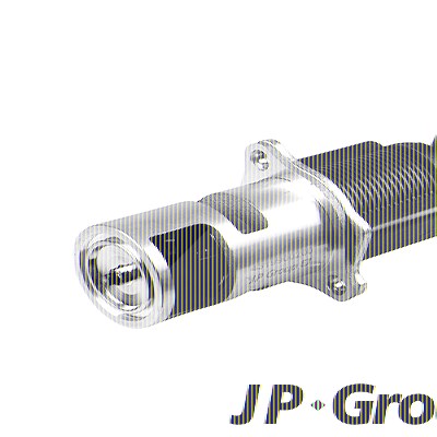 Jp Group AGR-Ventil [Hersteller-Nr. 4319900200] für Dacia, Nissan, Opel, Renault, Suzuki von JP GROUP