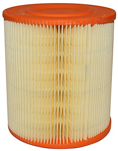 JP Brand 1118603300 Luftfilter von JP GROUP