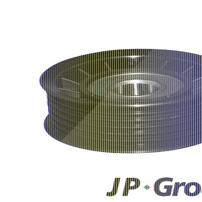 Jp Group Spannrolle, Keilrippenriemen [Hersteller-Nr. 1118301200] für Audi, Ford, Seat, VW von JP GROUP