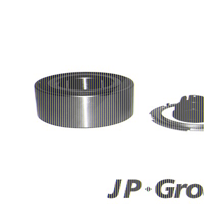 Jp Group Radlagersatz [Hersteller-Nr. 1241302710] für Nissan, Opel, Renault von JP GROUP