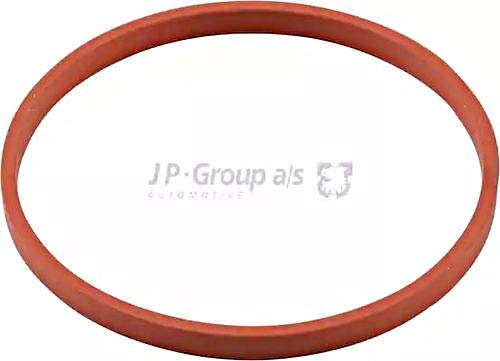 JP Group Dichtung Agr-Ventil 1119608400 von JP Group