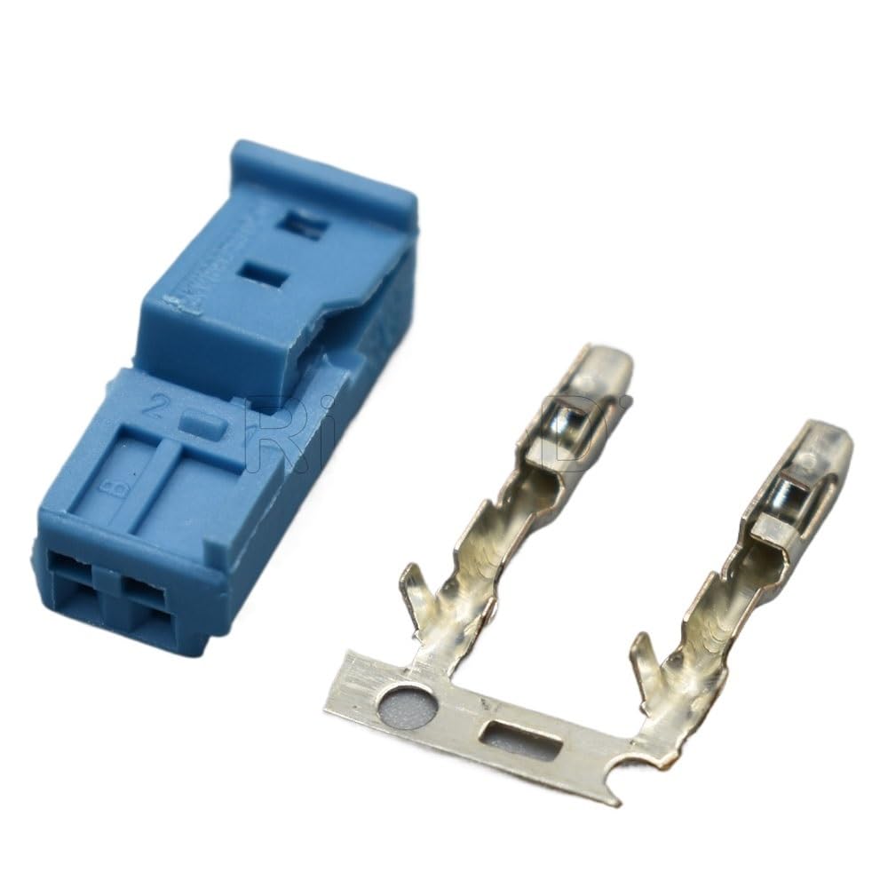 JUANZD 1/5/10/20 Kits 2-poliger B-14525-1 9-968554-1 9-968554-1A 8-1452577-1A Buchsenstecker(Blue Female,10Sets) von JUANZD