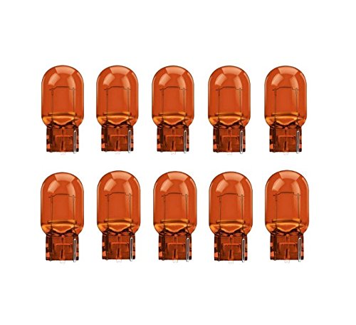 10x WY16W 16W 12V W2,1x9,5d BLINKER LAMPEN FALTSCHACHTEL 10 STÜCK BLINKLEUCHTEN von JURMANN